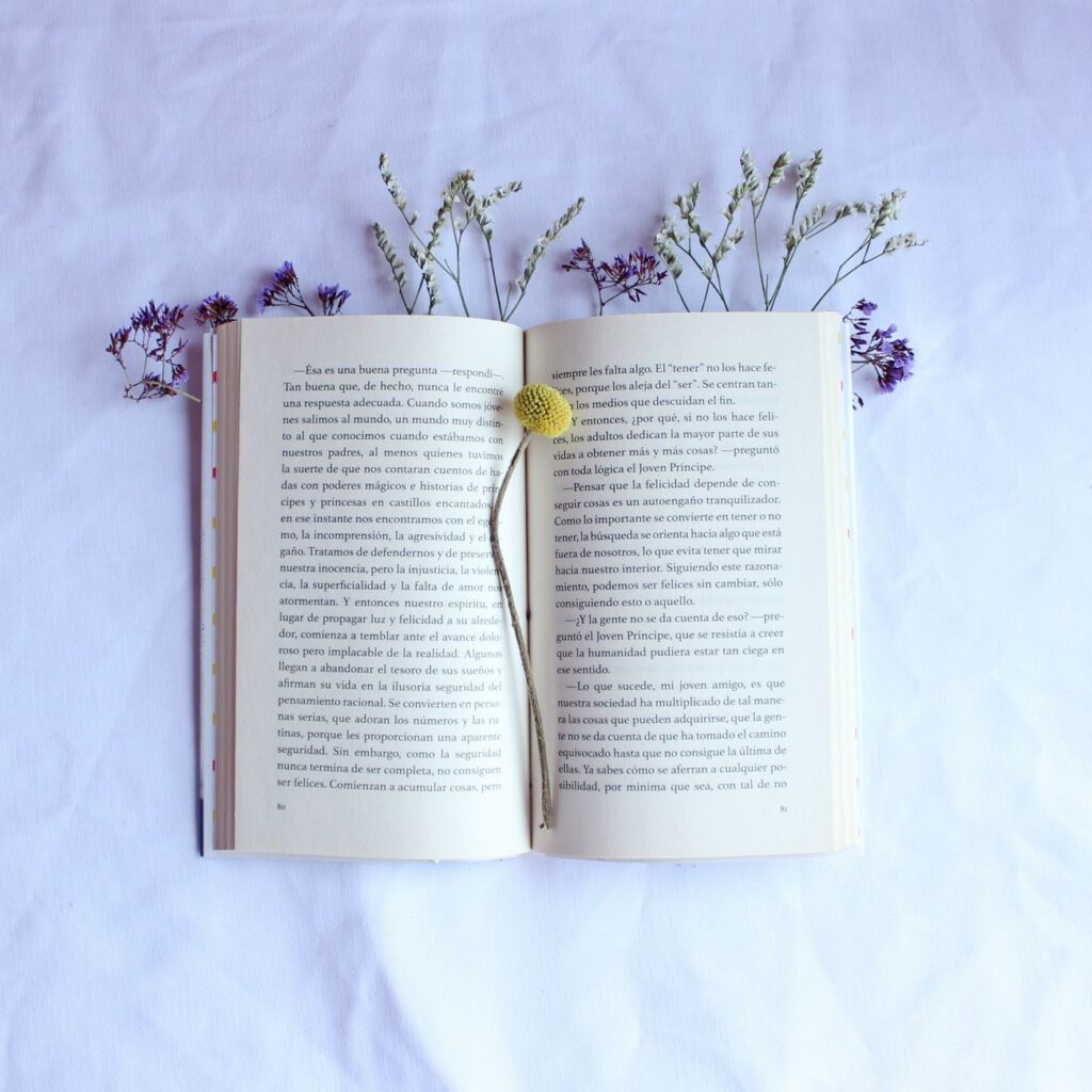 ¿Cómo leer y entender la letra pequeña de un seguro de viaje? 1 pexels photo 7635576 1